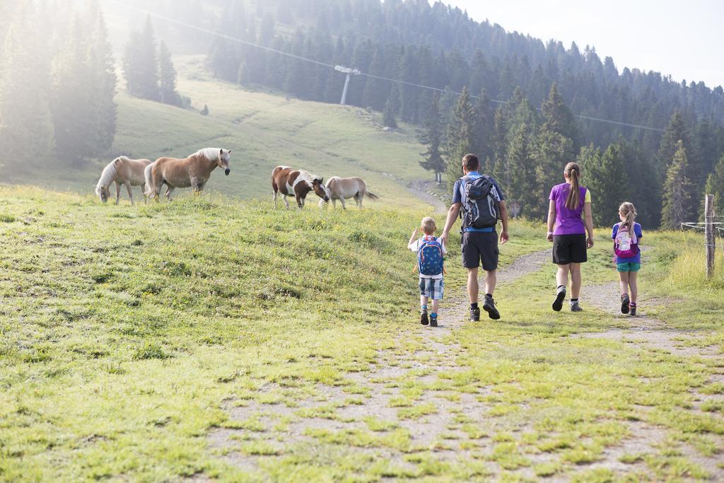 Appartmenthaus Martina Zell am Ziller Buitenkant foto